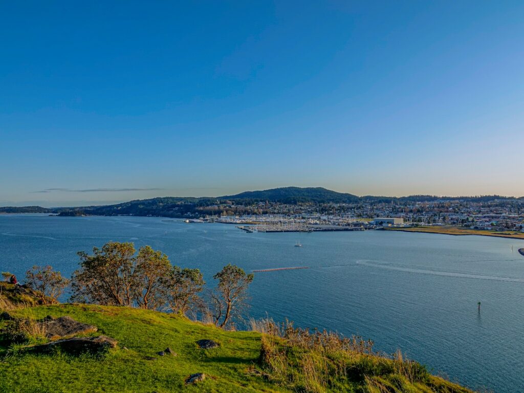 green grass field near body of water during daytime